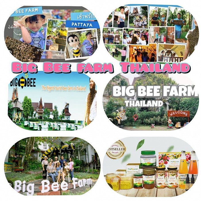 Big Bee Farm