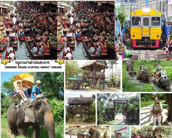 Charter a van, city tour, Damnoen Saduak Floating Market, Maeklong Railway Market, Elephant Camp one day trip, go back one day.